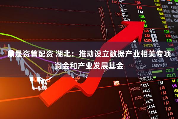 鼎晟资管配资 湖北：推动设立数据产业相关专项资金和产业发展基金